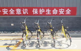 助力辦公路上“最后一公里” | Pando龐度·河北龍大引入免費(fèi)“小黃車(chē)”，員工辦公更方便啦！